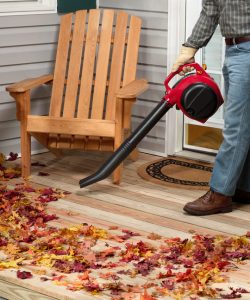 Best Cordless Leaf Blower