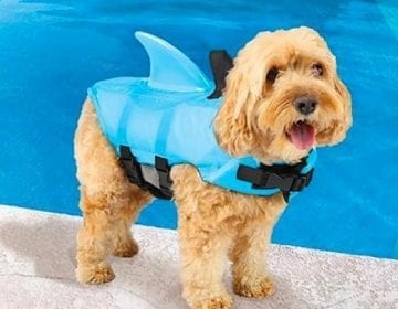 Shark Fin Dog Life Vest