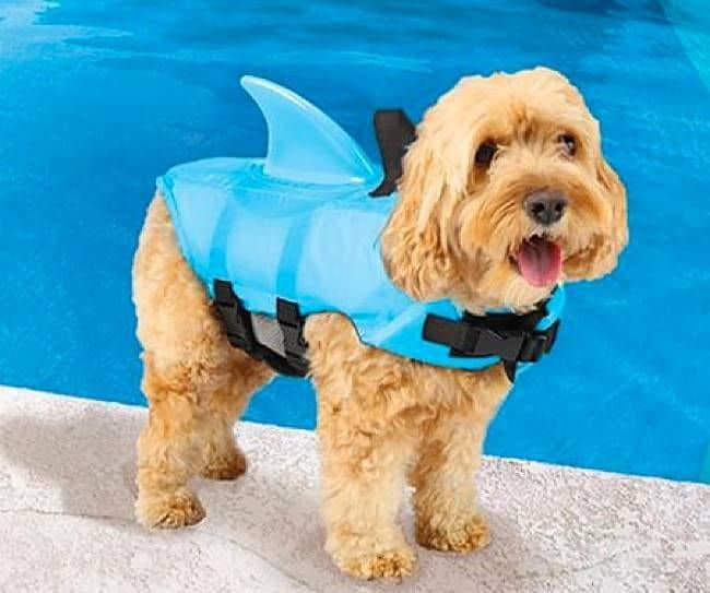 Shark Fin Dog Life Vest