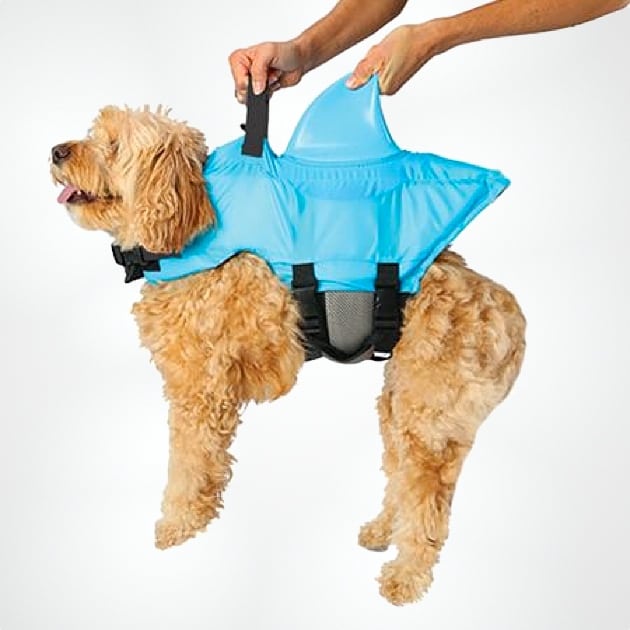 Shark Fin Dog Life Vest