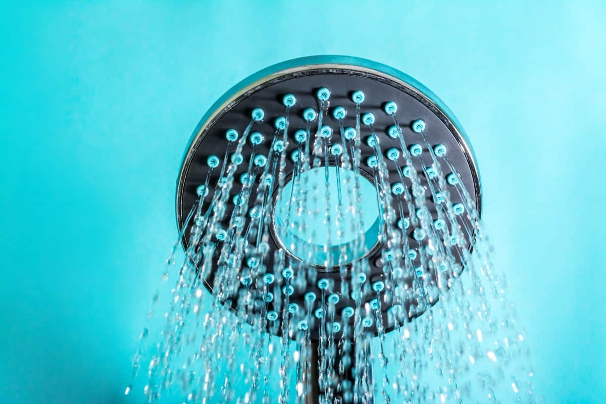 11 Best Rain Shower Heads 2020 Ranking Bestazy Reviews