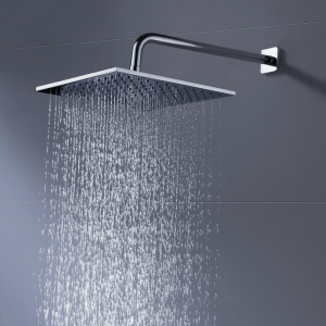 best rain shower head