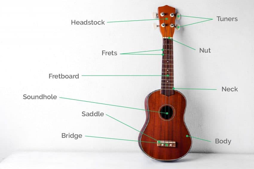 best ukeleles for beginners