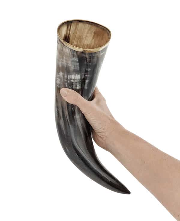 Viking Drinking Horn with Stand [Review 2022]