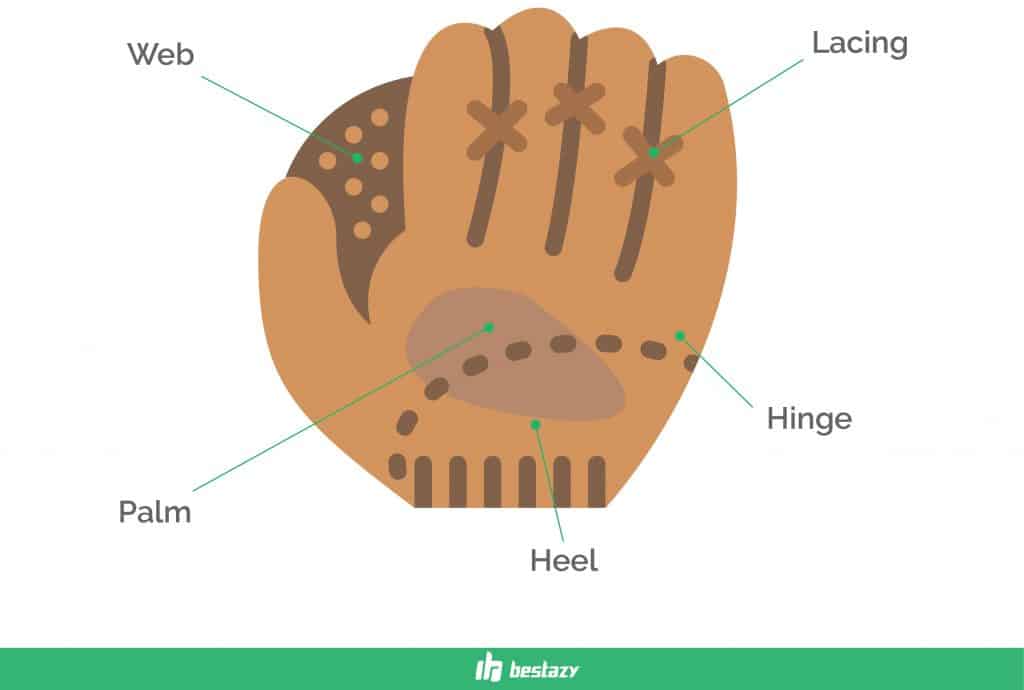 9 Fitting Baseball Gloves To Boost Your Game [Top 2024] Bestazy Reviews