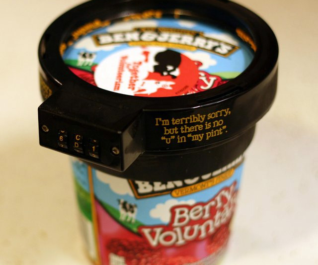 Ben & Jerry’s Ice Cream Protector
