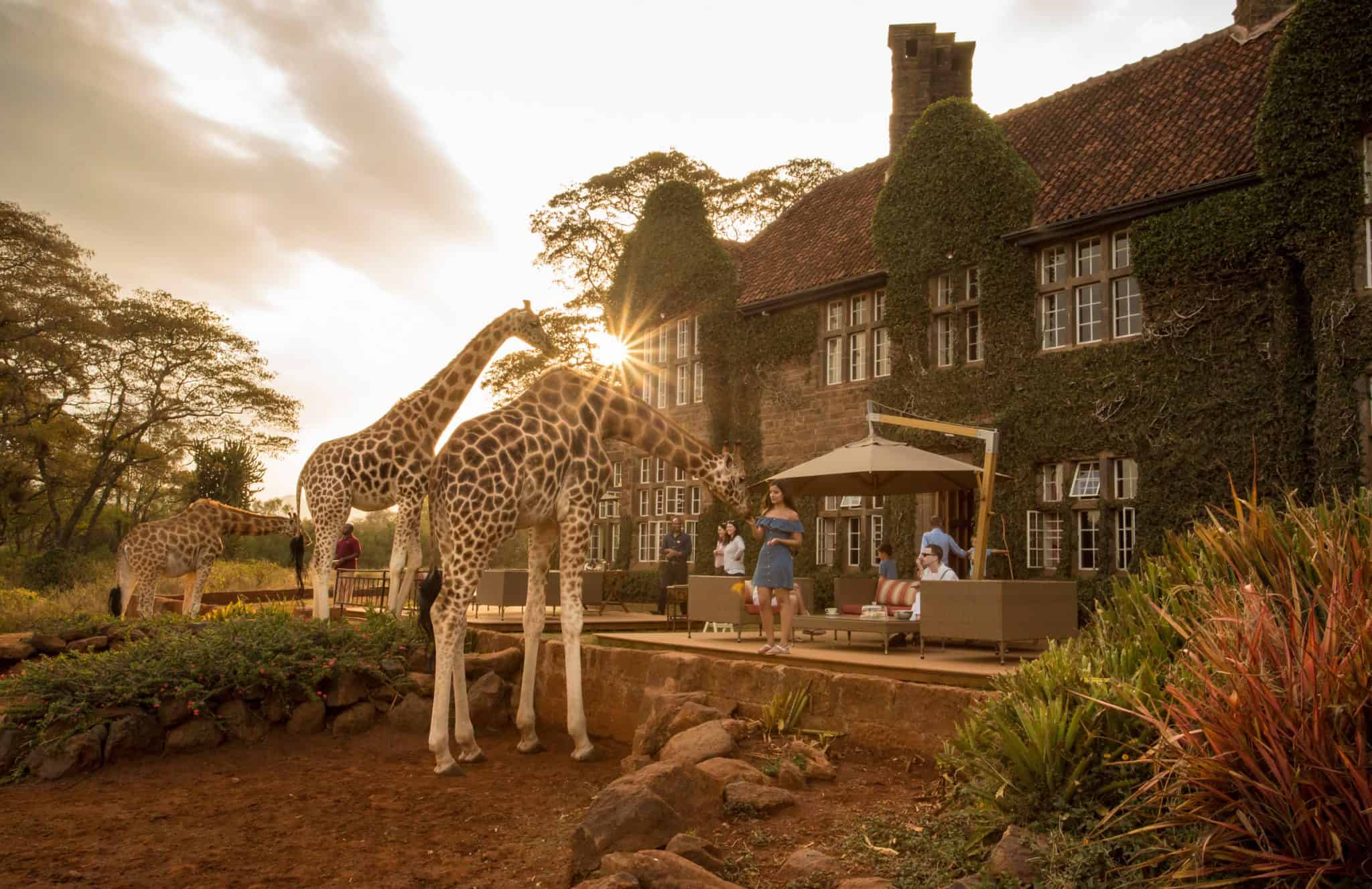 Giraffe Manor