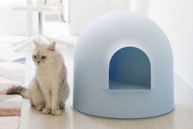 Igloo Cat Litter Box Kit