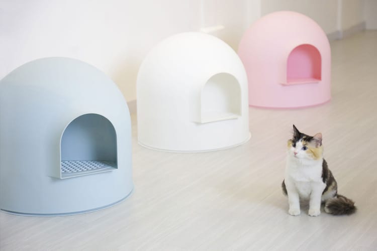 Igloo Cat Litter Box Kit