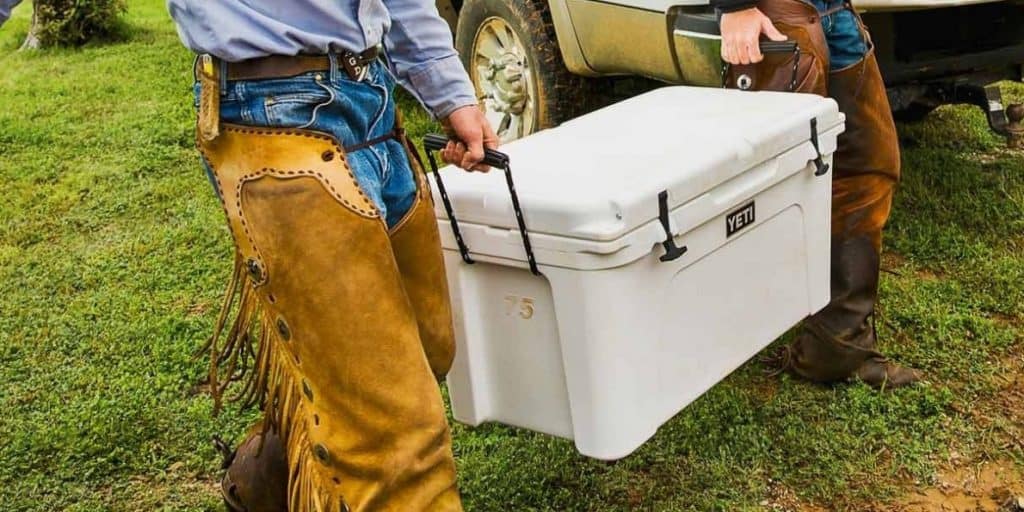 10 Cool Ice Chest Stay Chill In 2022 Bestazy Reviews